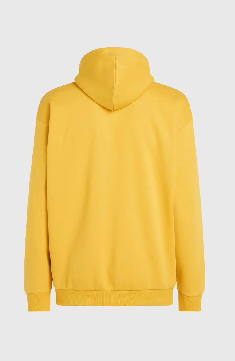 Discount O’Neill Future Surf Society Hoodie | Golden Haze