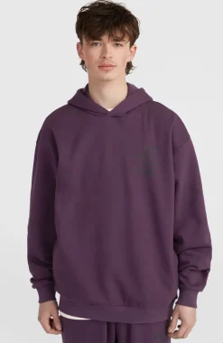 Clearance O’Neill Future Surf Society Hoodie | Aubergine