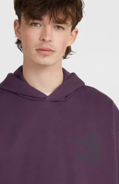 Clearance O’Neill Future Surf Society Hoodie | Aubergine
