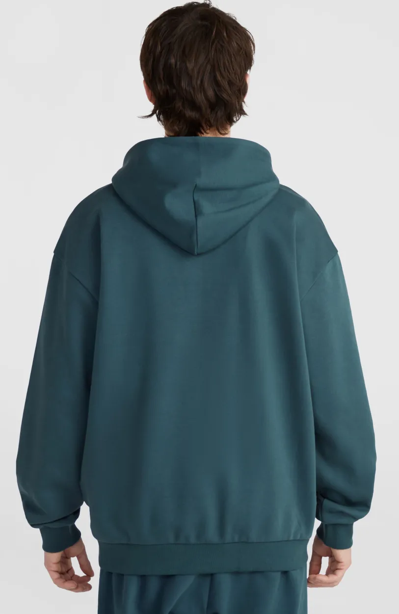 New O’Neill Future Surf Society Hoodie | Alma Steel