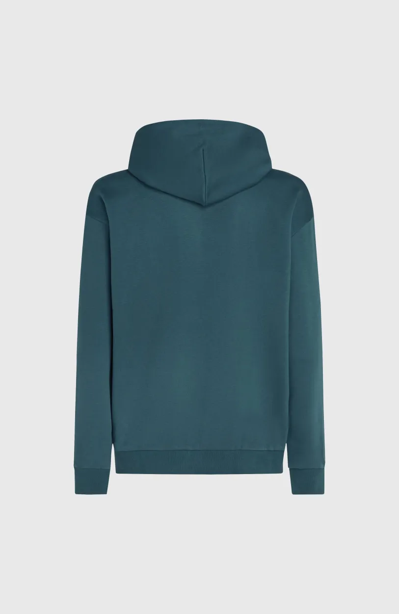 New O’Neill Future Surf Society Hoodie | Alma Steel