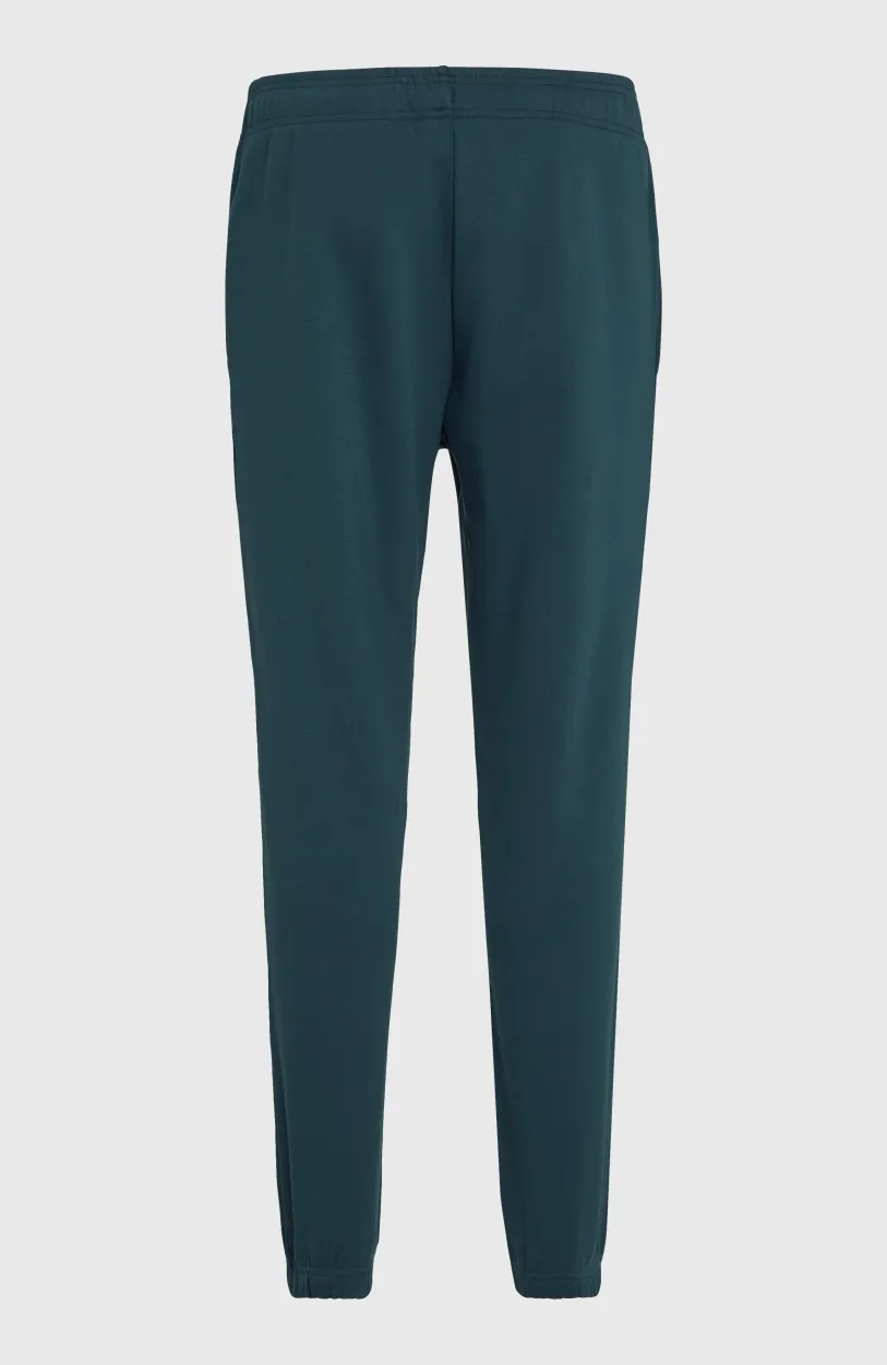 Online O’Neill Future Surf Society Joggingbroek | Alma Steel