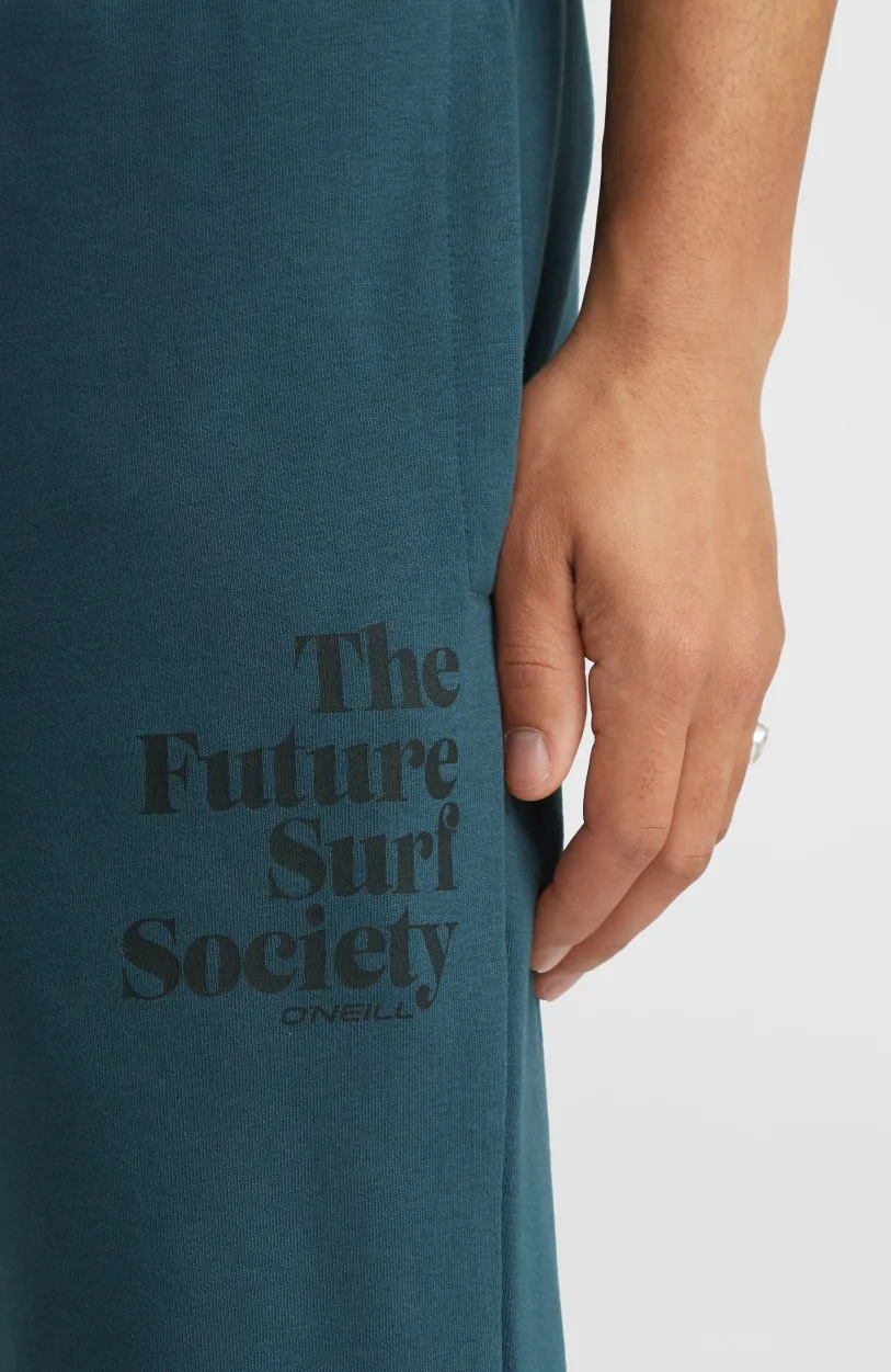 Online O’Neill Future Surf Society Joggingbroek | Alma Steel