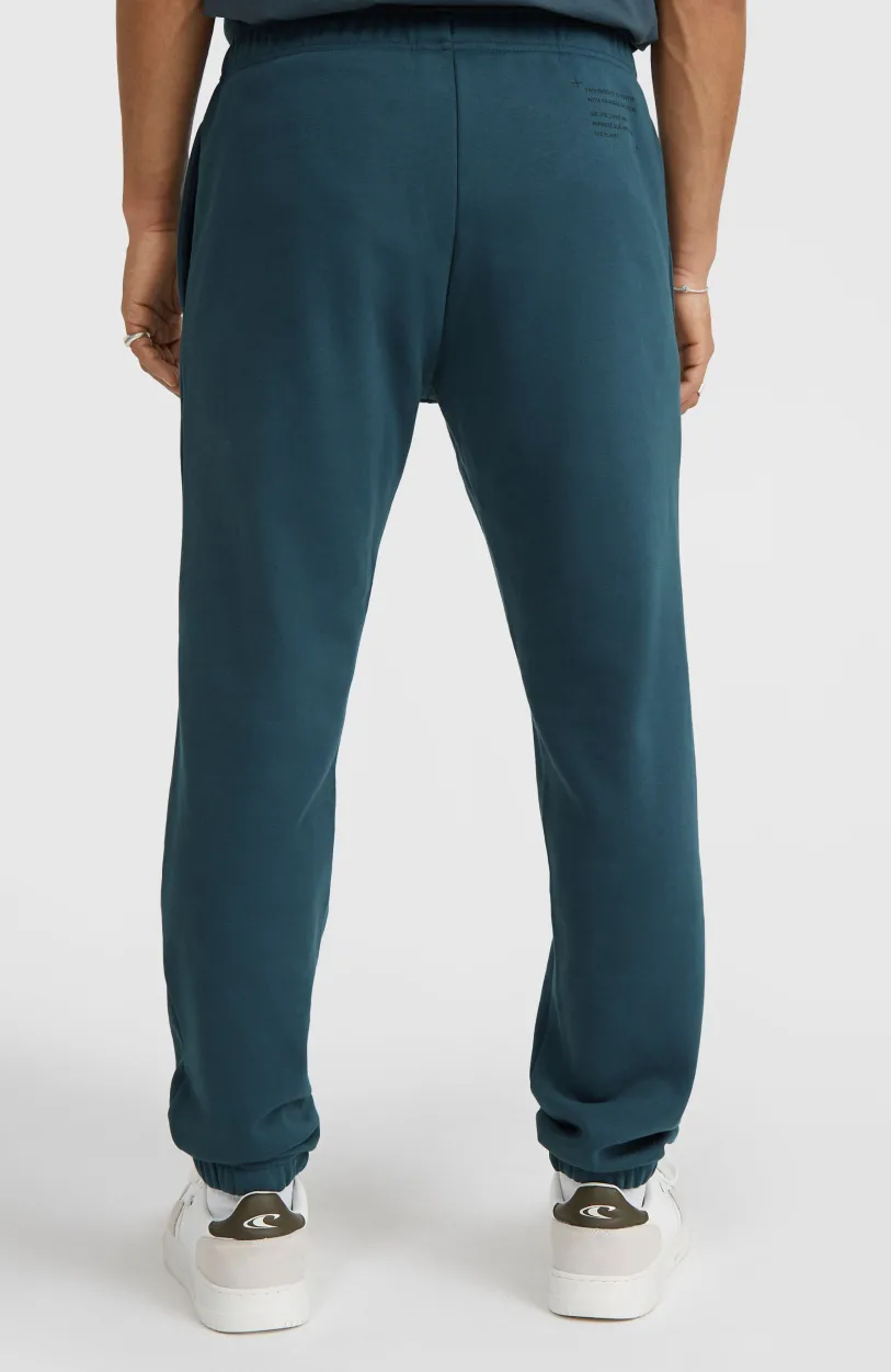 Online O’Neill Future Surf Society Joggingbroek | Alma Steel