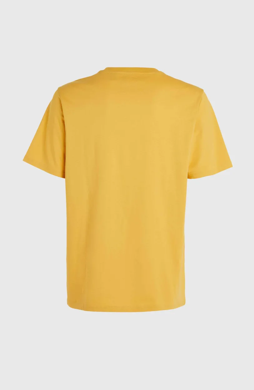 Clearance O’Neill Future Surf Society T-shirt | Golden Haze