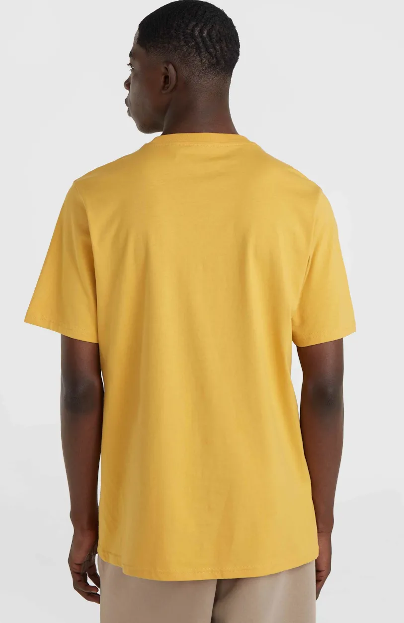 Clearance O’Neill Future Surf Society T-shirt | Golden Haze