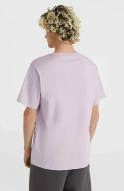 Clearance O’Neill Future Surf Society T-shirt | Iris
