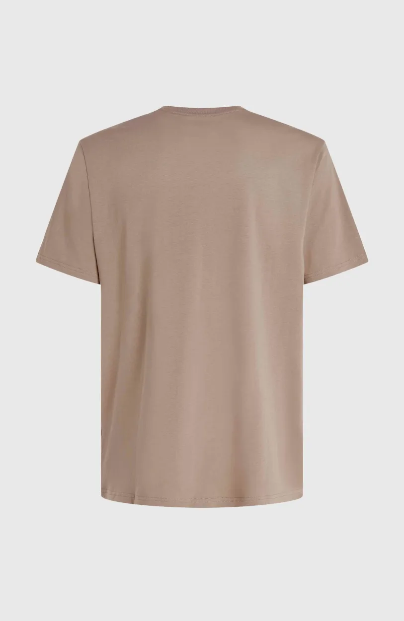Online O’Neill Future Surf Society T-shirt | Pumpkin Smoke
