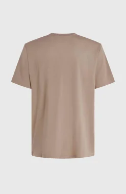 Online O’Neill Future Surf Society T-shirt | Pumpkin Smoke