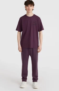 Online O’Neill Future Surf Society T-shirt | Aubergine
