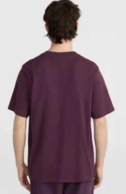 Online O’Neill Future Surf Society T-shirt | Aubergine