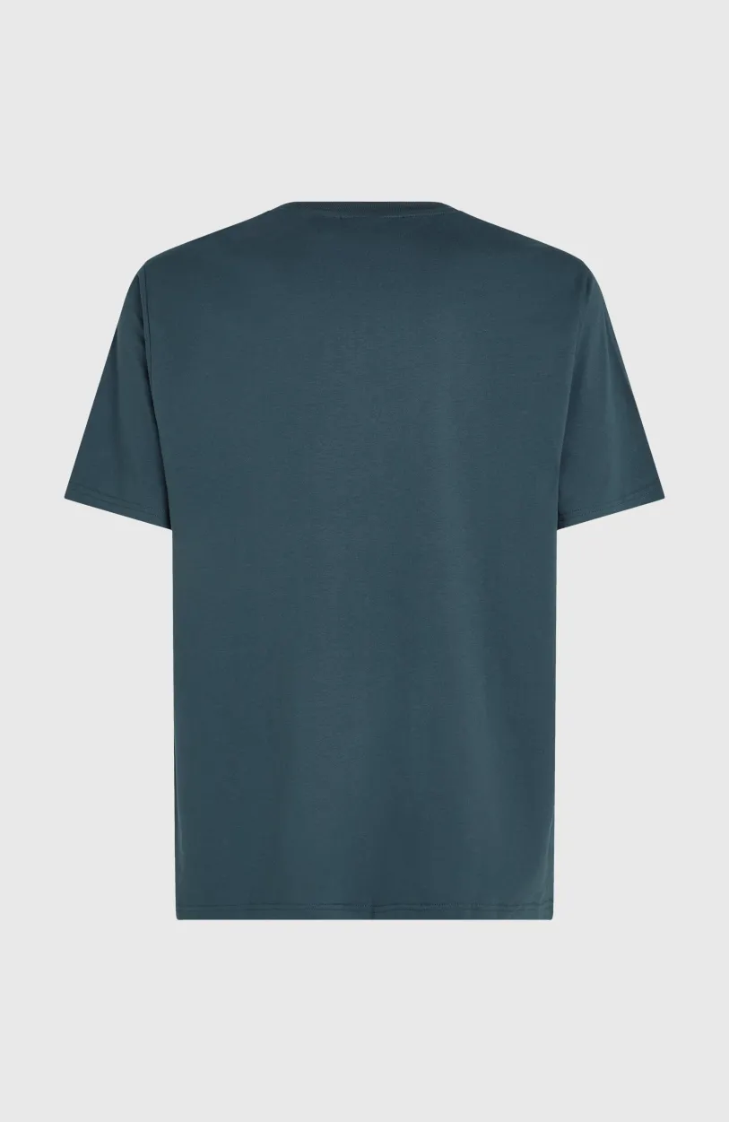 Hot O’Neill Future Surf Society T-shirt | Alma Steel