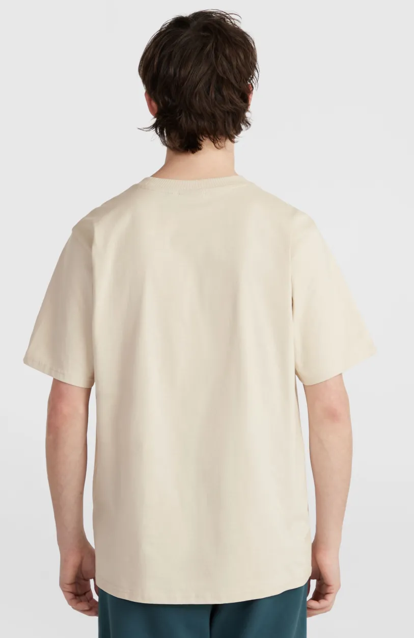Hot O’Neill Future Surf Society T-shirt | Atmosphere