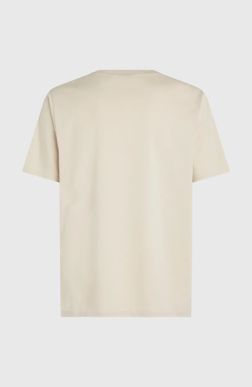 Hot O’Neill Future Surf Society T-shirt | Atmosphere