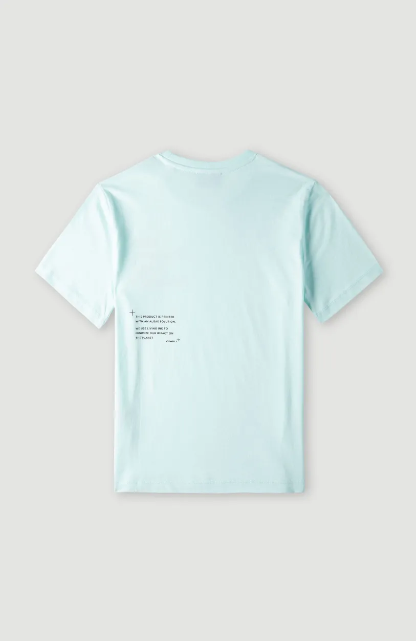 Discount O’Neill Future Surf Society T-shirt | Soothing Sea