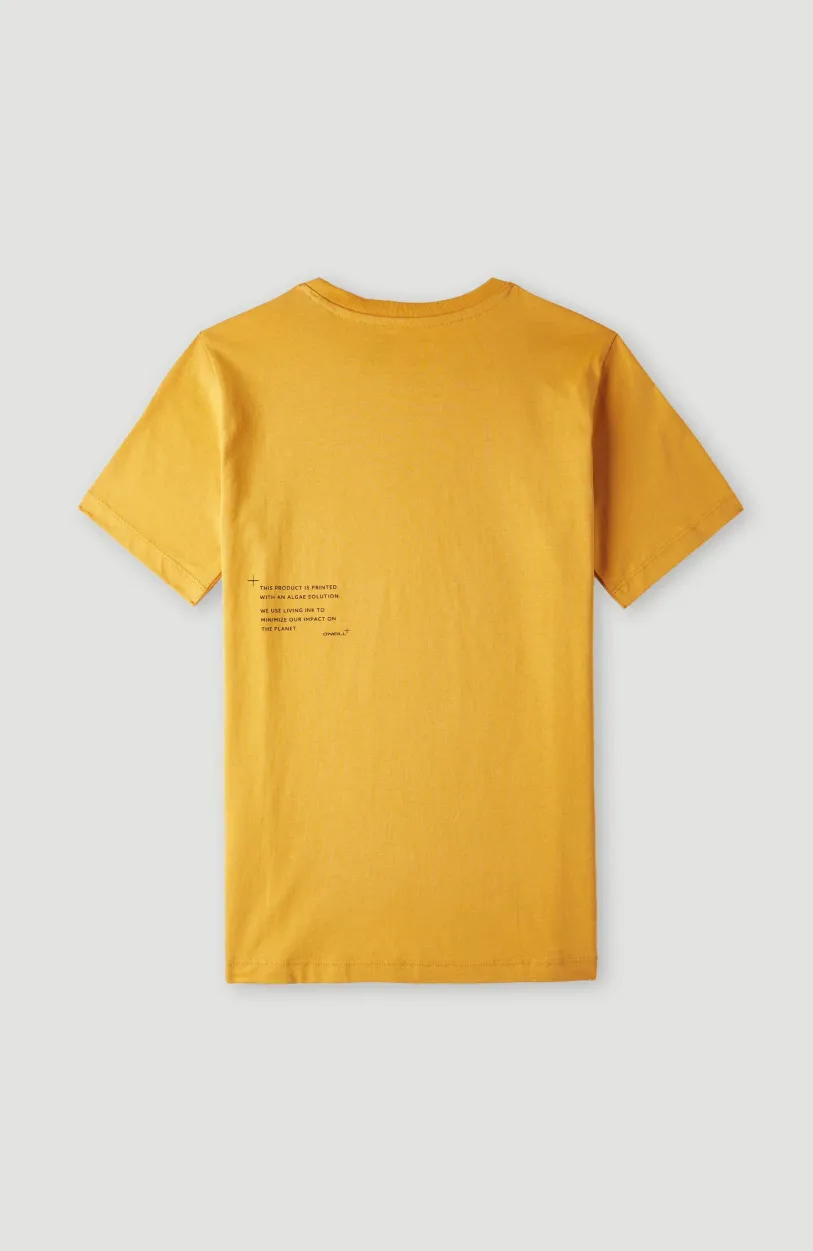 Best O’Neill Future Surf T-shirt | Nugget