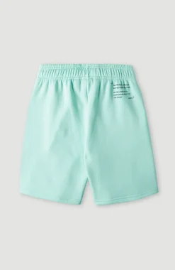 O’Neill Future Surfshort | Beach Glass