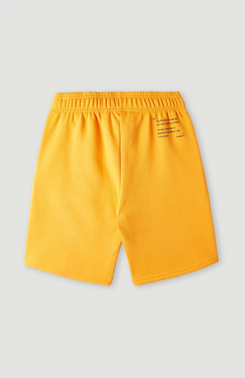 Clearance O’Neill Future Surfshort | Nugget