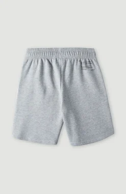 Discount O’Neill Future Surfshort | Silver Melee