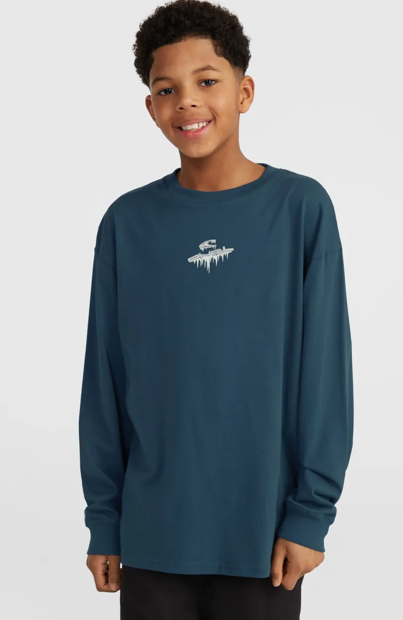 Outlet O’Neill Graphic Shirt Met Lange Mouwen | Alma Steel
