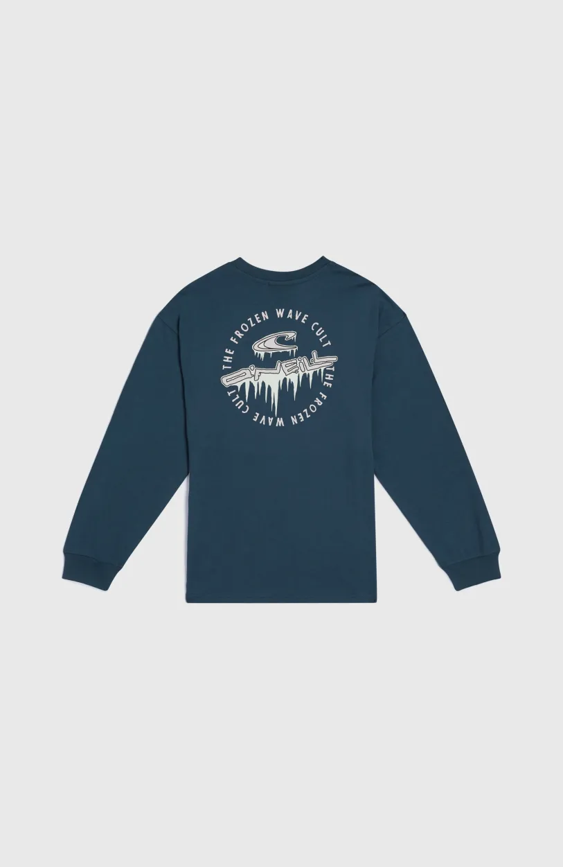 Outlet O’Neill Graphic Shirt Met Lange Mouwen | Alma Steel