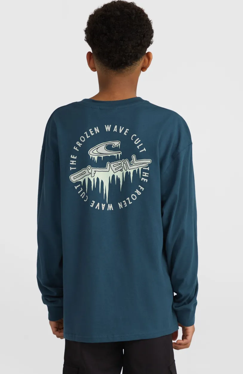 Outlet O’Neill Graphic Shirt Met Lange Mouwen | Alma Steel