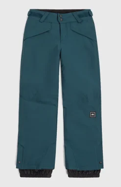 O’Neill Hammer Wintersportbroek | Alma Steel