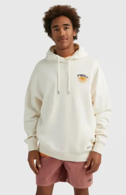 Sale O’Neill Hoodie Camorro | Birch