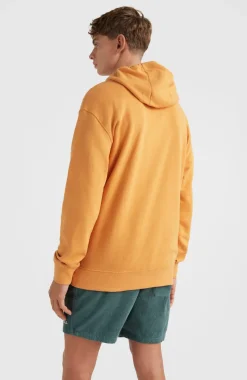 Sale O’Neill Hoodie Camorro | Nugget