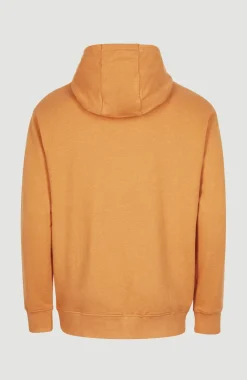 Sale O’Neill Hoodie Camorro | Nugget