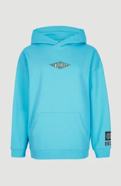 Online O’Neill Hoodie Sand Angel | Bachelor Button