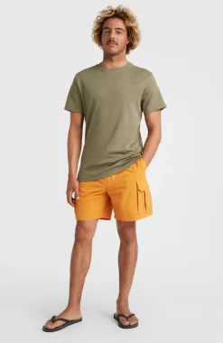 New O’Neill Hybrid Logo T-shirt | Deep Lichen Green