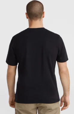 O’Neill Ikat Stripe T-shirt | Black Out