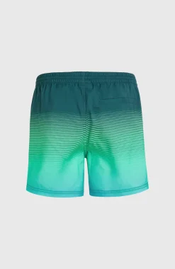 New O’Neill Jack O'Neill Cali Gradient 15