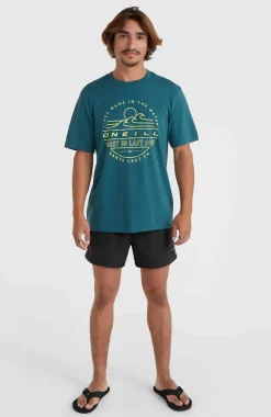 O’Neill Jack O'Neill Vert 14'' Zwembroek | Black Out