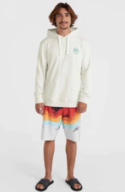 O’Neill Jordy Smith Senic Hoodie | Natural