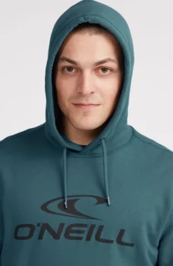 Discount O’Neill Logo Hoodie | Alma Steel