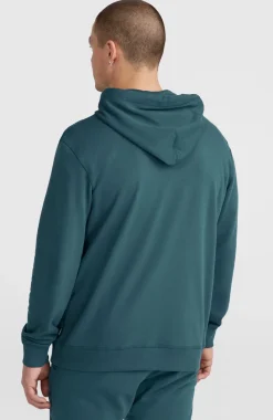 Discount O’Neill Logo Hoodie | Alma Steel
