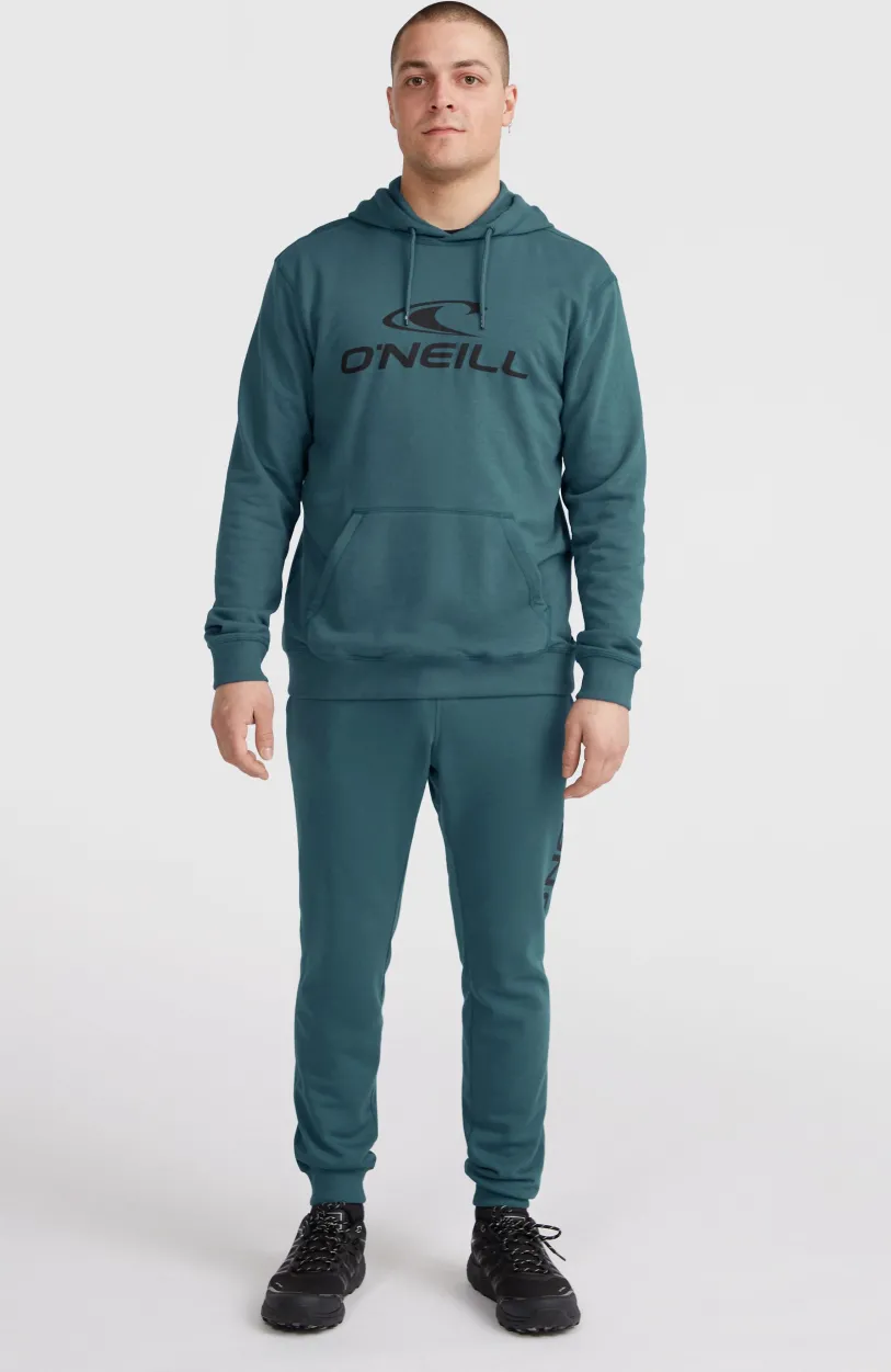Discount O’Neill Logo Hoodie | Alma Steel