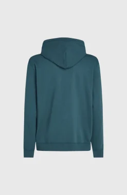 Discount O’Neill Logo Hoodie | Alma Steel