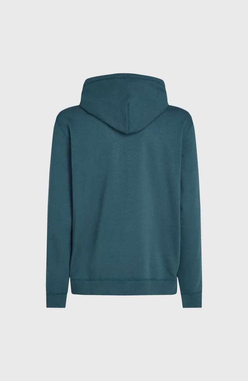Discount O’Neill Logo Hoodie | Alma Steel