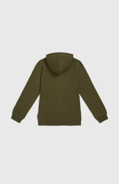 Best O’Neill Logo Hoodie | Forest Night