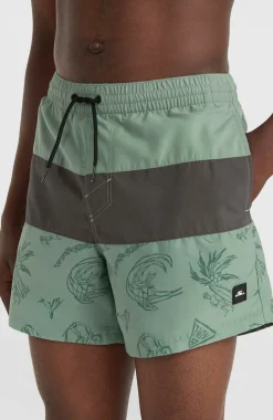 Hot O’Neill Mix And Match Cali Block 15
