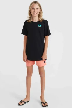 Discount O’Neill Mix And Match Cali Block 13