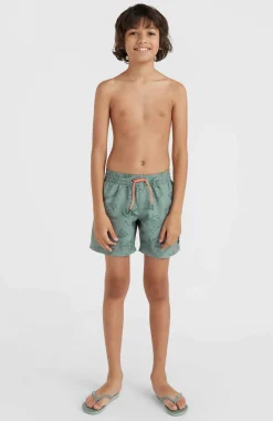 Clearance O’Neill Mix And Match Cali Print 13'' Zwembroek | Green Vintage Surfer