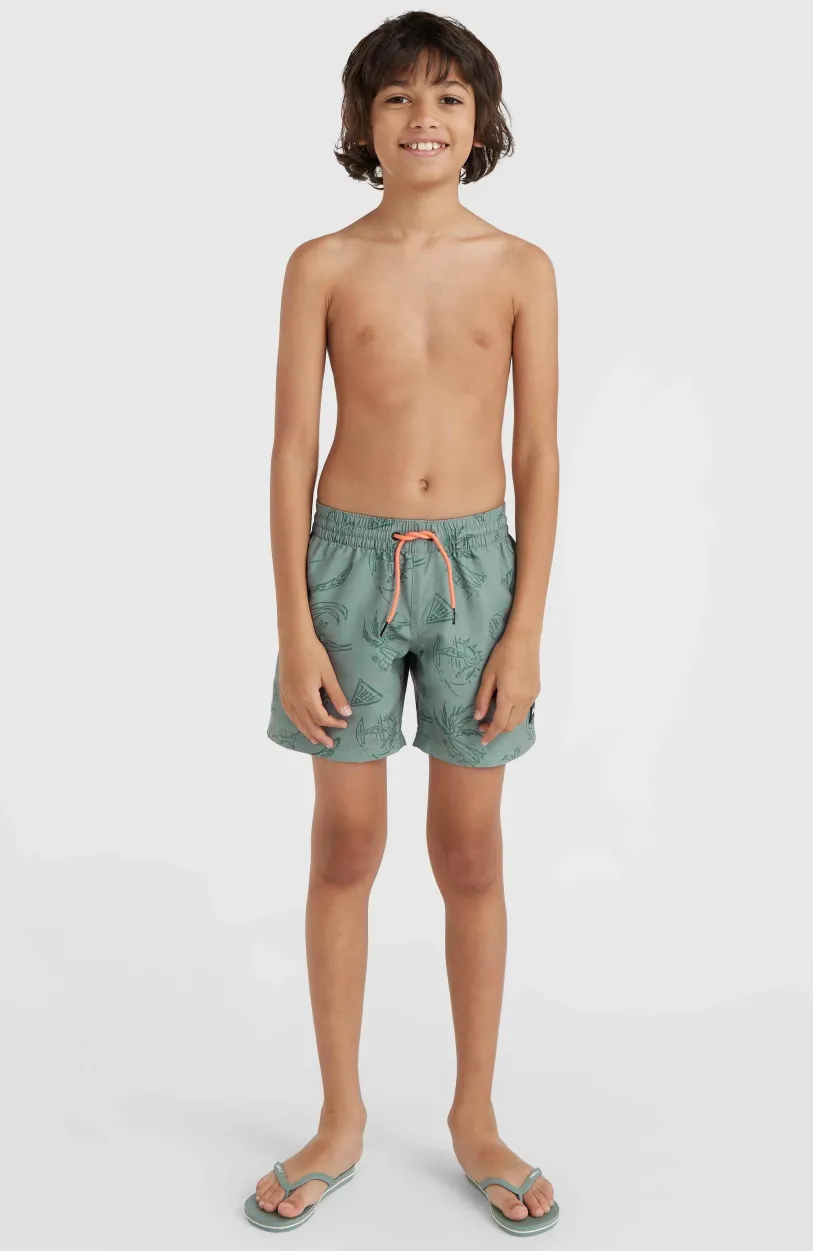 Clearance O’Neill Mix And Match Cali Print 13'' Zwembroek | Green Vintage Surfer