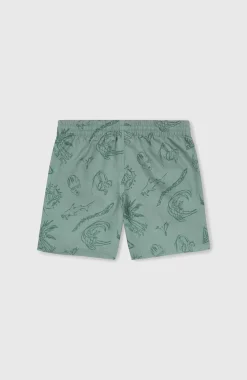 Clearance O’Neill Mix And Match Cali Print 13'' Zwembroek | Green Vintage Surfer