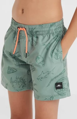 Clearance O’Neill Mix And Match Cali Print 13'' Zwembroek | Green Vintage Surfer