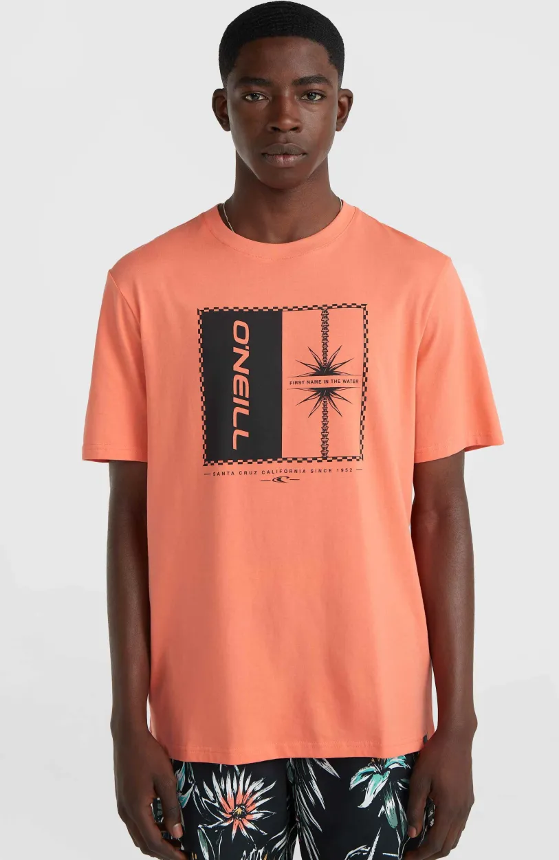 Clearance O’Neill Mix And Match Palm T-shirt | Living Coral