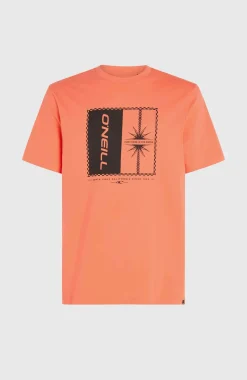 Clearance O’Neill Mix And Match Palm T-shirt | Living Coral